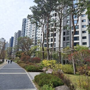 Lesson image